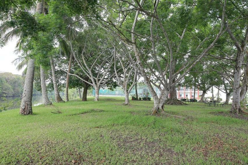 Hotel Plaza Palmas Tuxpan  Exterior foto